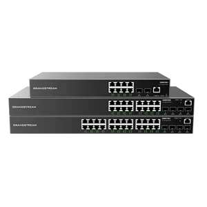 Layer 2+ Managed switches